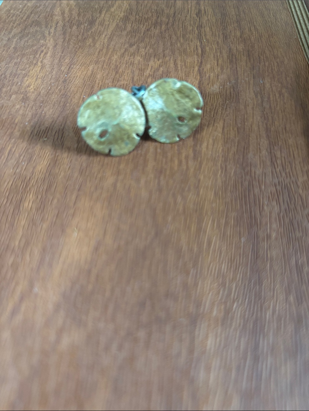 Round Gold-Tone Sand Dollar screw on Earrings